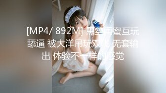 これぞ！という巨乳の娘に街で声をかけてとにかくSEXする动画(2)