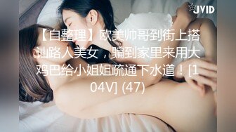 【自整理】欧美帅哥到街上搭讪路人美女，骗到家里来用大鸡巴给小姐姐疏通下水道！[104V] (47)