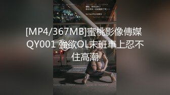 [MP4/367MB]蜜桃影像傳媒 QY001 強欲OL末班車上忍不住高潮