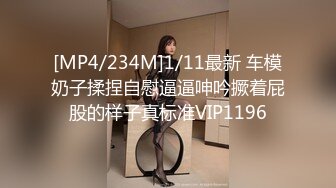 [MP4/234M]1/11最新 车模奶子揉捏自慰逼逼呻吟撅着屁股的样子真标准VIP1196