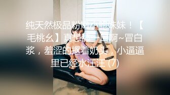 MDX-0264 苡若 警卫师傅的特殊福利 淫乱性事篇章 麻豆传媒映画