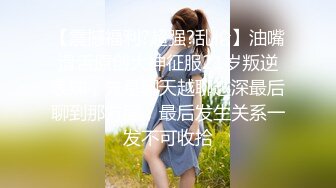 小母狗持续开发中no3