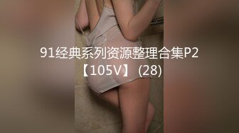 91经典系列资源整理合集P2【105V】 (28)