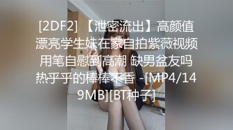 MSD-003.袁子仪.菜鸟特务.入侵者的反奸凌辱.麻豆传媒映画