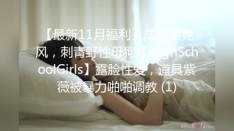 巨乳少妇【姜十七】道具狂插~各种丝袜【21V】 (16)