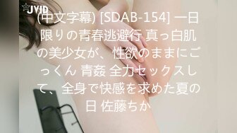 (中文字幕) [SDAB-154] 一日限りの青春逃避行 真っ白肌の美少女が、性欲のままにごっくん 青姦 全力セックスして、全身で快感を求めた夏の日 佐藤ちか