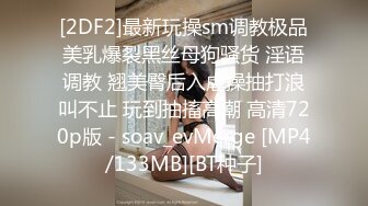 蜜桃影像PME271江湖神棍的巨乳双修