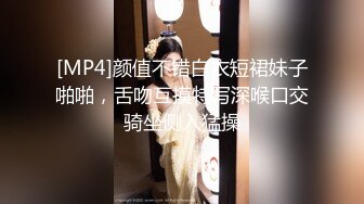 被巨乳蕾丝侵犯的我～被玩弄肉体的实习老师