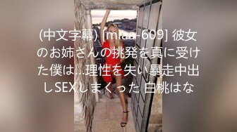 以前的存货(0632)