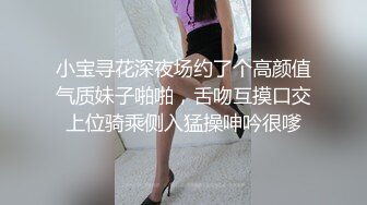 小宝寻花深夜场约了个高颜值气质妹子啪啪，舌吻互摸口交上位骑乘侧入猛操呻吟很嗲