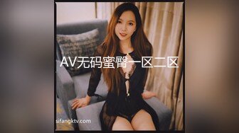 AV无码蜜臀一区二区