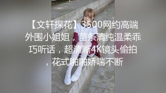 《精品??泄密》东北大连夫妻反差骚母狗ZHEN情趣制服调教啪啪啪不雅自拍视图11V+29P