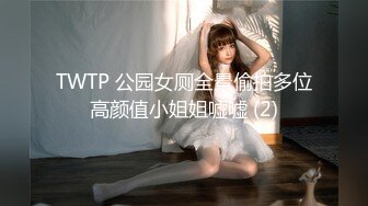 TWTP 公园女厕全景偷拍多位高颜值小姐姐嘘嘘 (2)