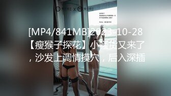 [MP4]蜜桃图像传媒PMC-046 漂亮女大学生中出以性抵租 有钱房东猛干内射巨乳-孟若羽