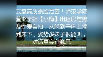 云盘高质露脸泄密！师范学院羞涩学姐【小梅】出租房与男友性爱自拍，从脱到干床上搞到床下，姿势多妹子很能叫，对话真实有意思